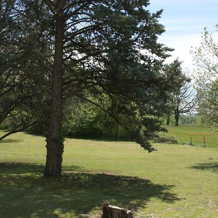 La Forestiere Pigeonnier Monclar-de-Quercy Kültér fotó